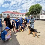 Забота о безопасном лете для наших детей в Краснодарском крае