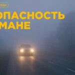 Вам известны особенности вождения автомобиля в тумане?