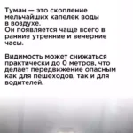 Вам известны особенности вождения автомобиля в тумане?